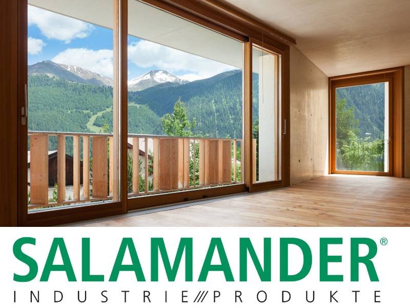 salamander-banner